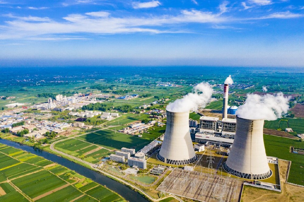 What are the common types of biogas burners