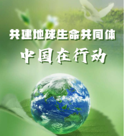 “迈向COP15成功之路：共建地球生命共同体”圆桌会成功举办