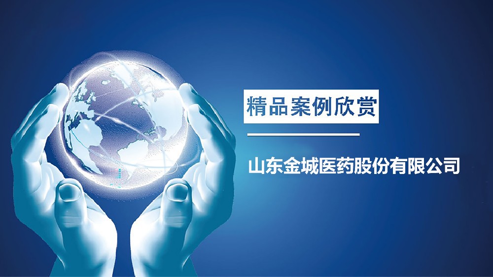 山东金城医药集团股份有限公司案例现场