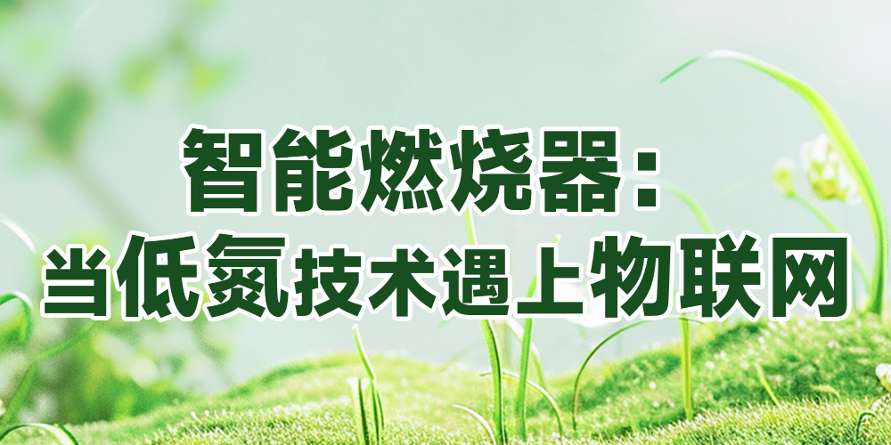 Intelligent Burner: When Low-Nitrogen Technology Meets the Internet of Things