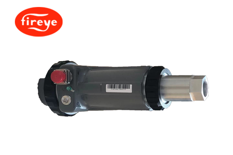 Fireye 95DSS3-1WINC 火焰检测器