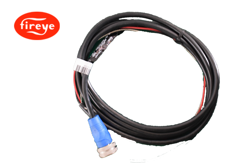 Fireye UV1A6火焰检测器